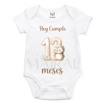 Pack 12 Bodies meses